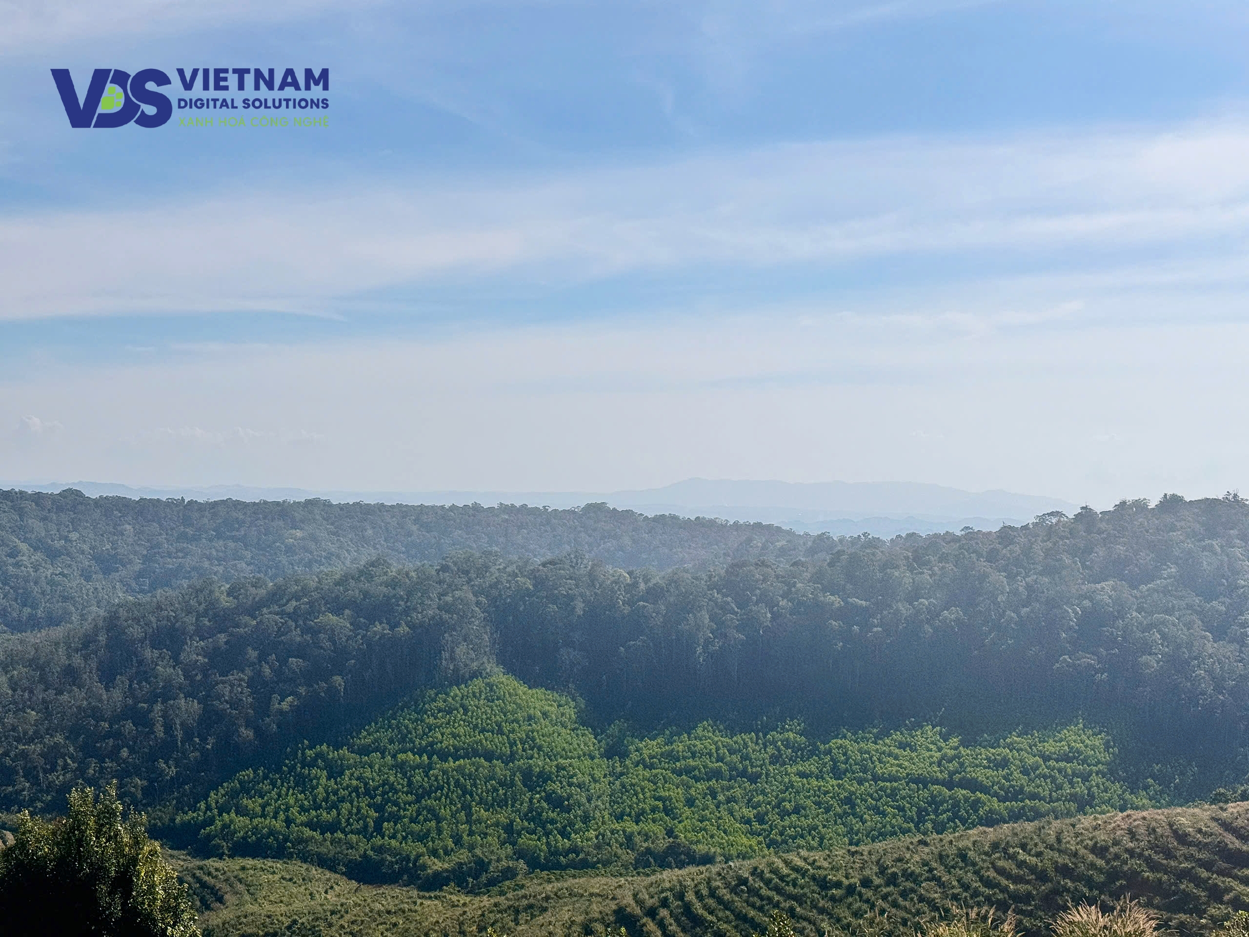 vds-khao-sat-thuc-dia-du-an-tin-chi-carbon-tai-dak-nong